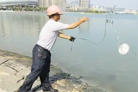 抓鱼是越来越简单了 一个水桶 再加一点面粉 小鱼儿自动上钩视频封面