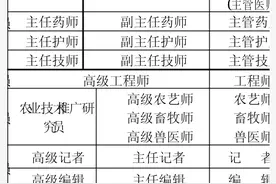 中国职称发展的历程图片