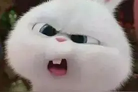 奇怪的知识增长了｜美妆大咖都不知道的昵称，你知道吗图片