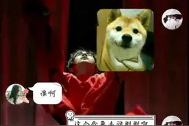 女生给男友发“刚刚被表白了”，看到回复笑出猪叫声，网友：优秀图片