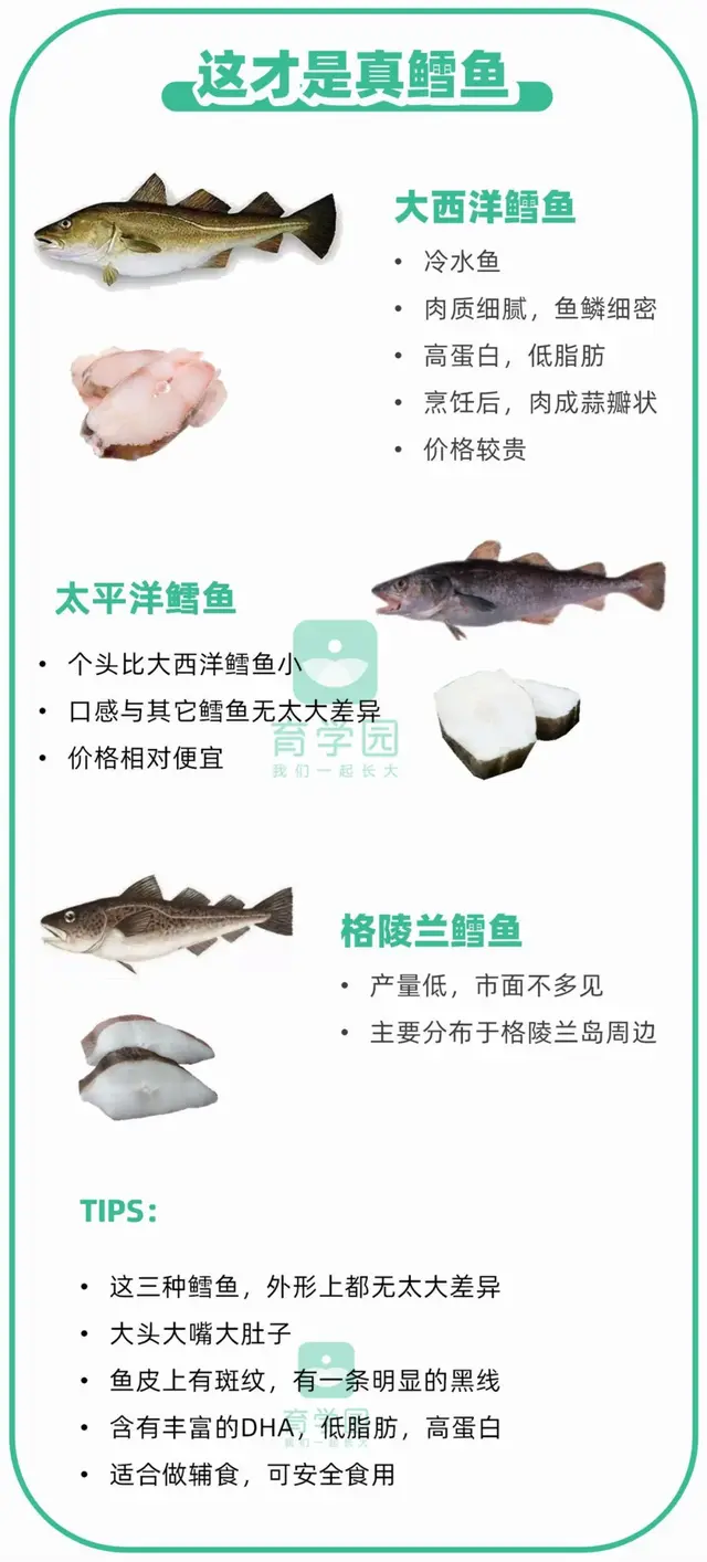 吃鳕鱼的好处与坏处 2026年吃鳕鱼的好处与坏处图片