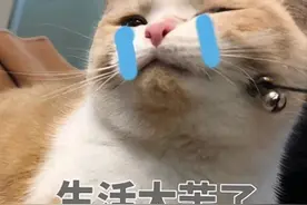 女子找私家侦探调查老公，结果自己摊上大事了……图片