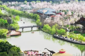 顾村公园门票半价，吴淞炮台湾国家湿地公园免票线上预约通道开启图片