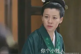 直性子的盛大娘子，遇上弯弯绕的盛通判，三个回合华兰婚事就定了图片