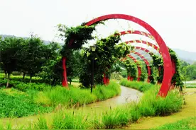 你是我的风景（甜蜜对话）图片