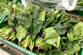 菜市场买菠菜，别管圆叶尖叶，切记“3不买”，回回挑到好菠菜图片