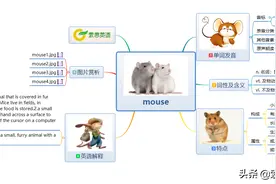 索思英语解码单词（第9个）——mouse老鼠图片