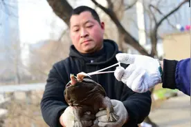 污水处理厂发现了怪物，像婴儿一样哭叫，谁都不清楚是怎么进来的图片