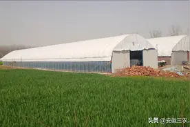 学会申请养殖场建设流程，是你养殖成功的第一步，今天完全公开了图片
