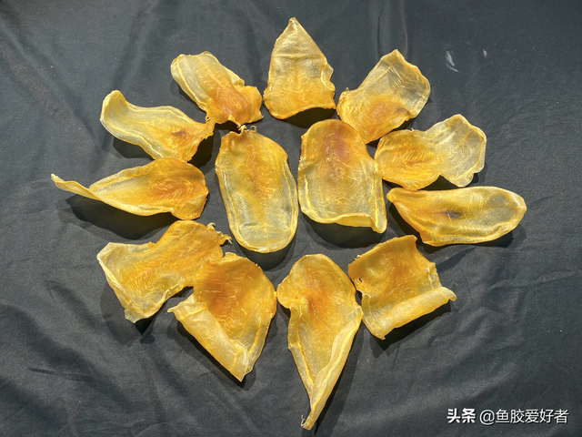 白花胶与黄花胶的区别 2026年白花胶与黄花胶的区别图片