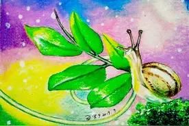 彩铅小习作之蜗牛（二）绘画步骤图片