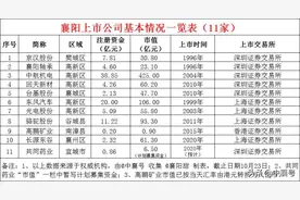 宜城有上市公司啦！襄阳巩固汉江流域融资中心地位 或达到13家图片