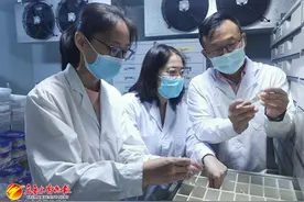 独特的“珍宝”——记者探秘新疆光合细菌菌种资源库图片