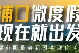 出发！浦口宝藏赏花地图来啦~图片
