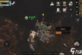 《明日之后》快速入门指南！弄懂游戏的模式与大体框架超详细解析图片