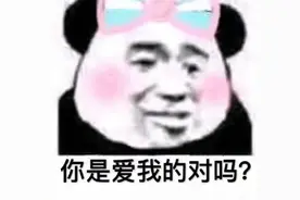 斗图表情包合集｜你是爱我的，对吗？图片