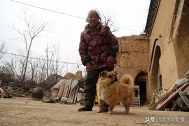 8旬奶奶3年前捡到了一只小野货，老伴去世后睹物思情把它当亲人图片