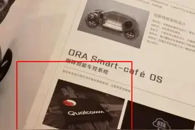 长城欧拉好猫芯片货不对板！车主怒发声维权：女车主不是人傻钱多图片