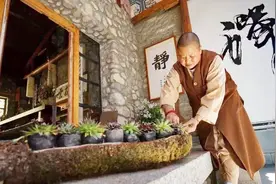 晚清尼姑还俗后嫁人，丈夫比自己大22岁，生下的孩子改变中国历史视频封面