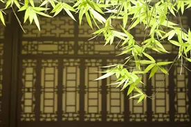 一场漫无目的的旅行，也能邂逅最美的风景图片