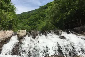 东北又现“宰客”，一碗面要50元，5A景区风景区濒临“消亡”图片