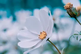一个男人越爱你，越不想让你知道这几个秘密图片