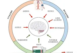 高血压患者：小心痴呆图片
