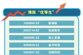 钛白粉龙头龙蟒佰利2020年股价涨111%，2021年会有怎样走向？图片