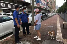 遛狗不牵绳罚500元，深圳月余查处不文明养犬行为千余宗图片