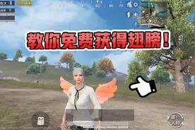 浮云：教你在游戏里免费获得一套翅膀！视频封面
