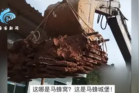 贵州拆下巨型马蜂窝：体积庞大到需用掘机搬运图片