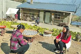 巩固提升 产业支撑 凉山持续帮扶防止返贫图片