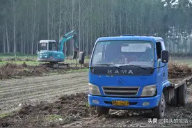 3块钱一棵大树根，一天赚800多元，十年有柴烧，看是个啥营生图片