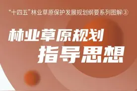 “十四五”林草规划图解③|林业草原规划指导思想图片
