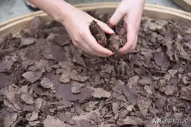 榨油不收加工费，用油饼抵加工费，这些油饼去哪里了？图片