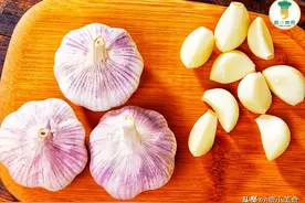 5种食物发芽后别扔了，无毒还能吃！尤其豆类，营养丰富更鲜脆图片
