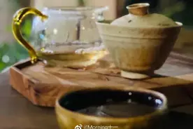 他回来了（完）图片