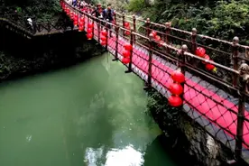 疫情，火了方方    尴尬了作协图片