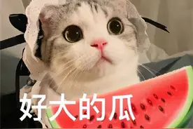 从上市到下架仅4天，滴滴经历了“悲喜两重天”图片