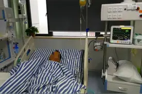 淋雨后湖南男子变“铜人”！发热、食欲不振…紧急送医！有这种症状一定要注意！图片