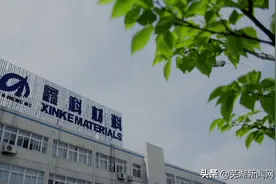 股价跌破1元！芜湖一家上市公司面临退市风险图片