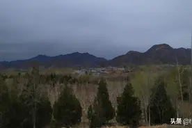青龙湖森林公园图片