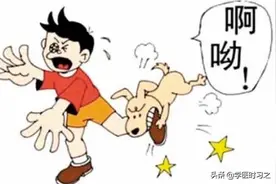 “狂犬病”致死率100%    这些知识必须要知道图片