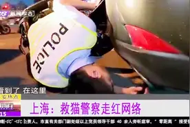 上海救猫警察走红网络，被几十万网友围观，两位警察小哥哥太暖了视频封面