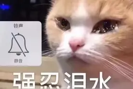 让你不花一分钱就能和银行协商成功个性化分期的方法图片