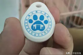 @合肥市民：今日起可办养犬登记了图片