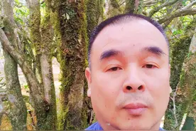 古树茶到底是枞味香？还是青苔味？图片