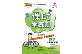 人教版数学六（下）《课时学练测》全册练习，期末冲刺图片