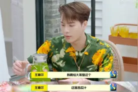 王嘉尔的养生技巧是喝苦瓜汁，蔬菜棒的快乐减肥法不妨尝试下图片