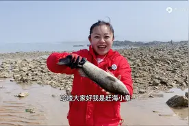 北漂失败、哺乳期找不到工作，90后女孩返乡拍渔村月入过万图片